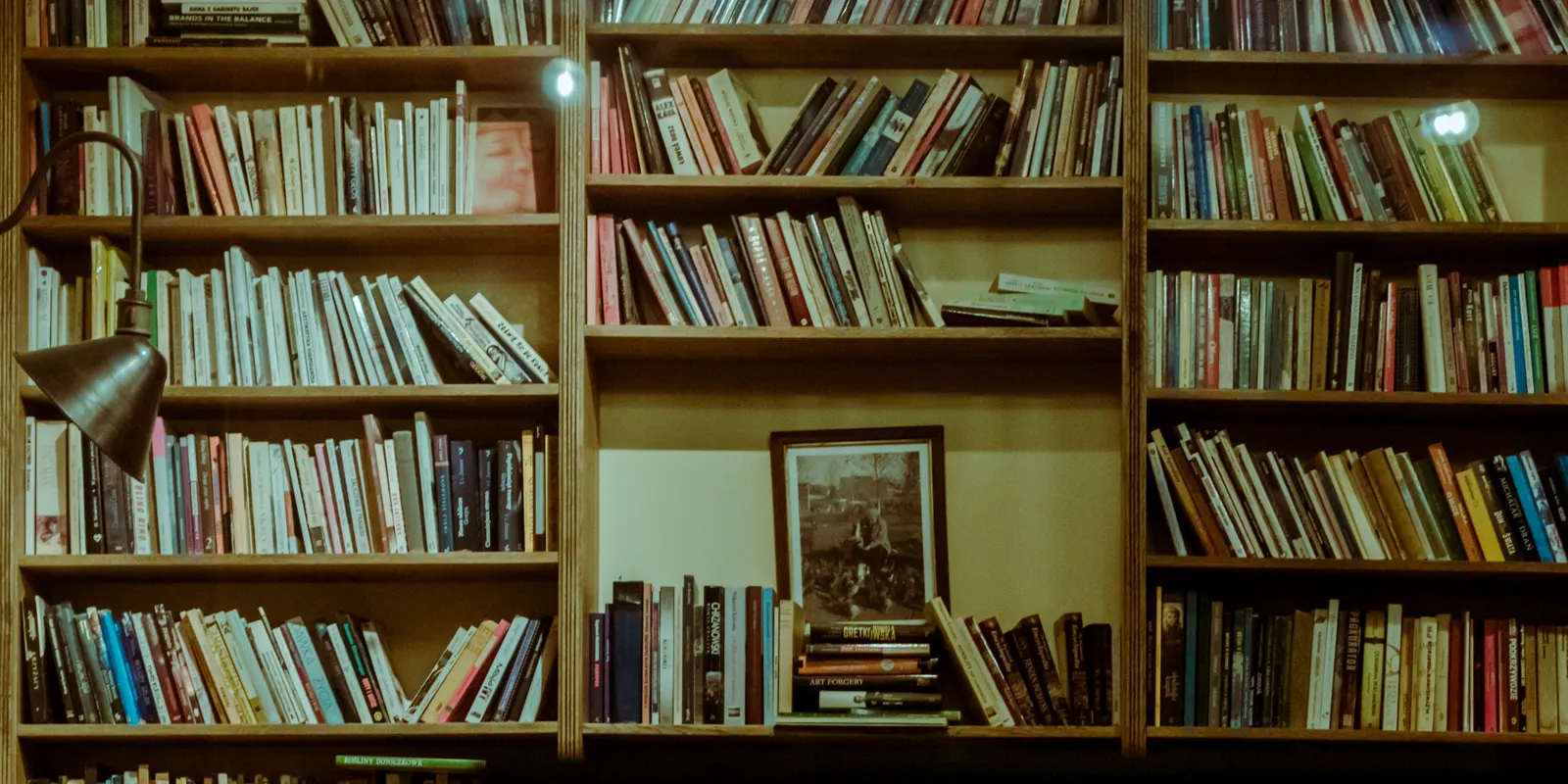 A home library with filled wooden bookshelves and a reading lamp, custom built-ins