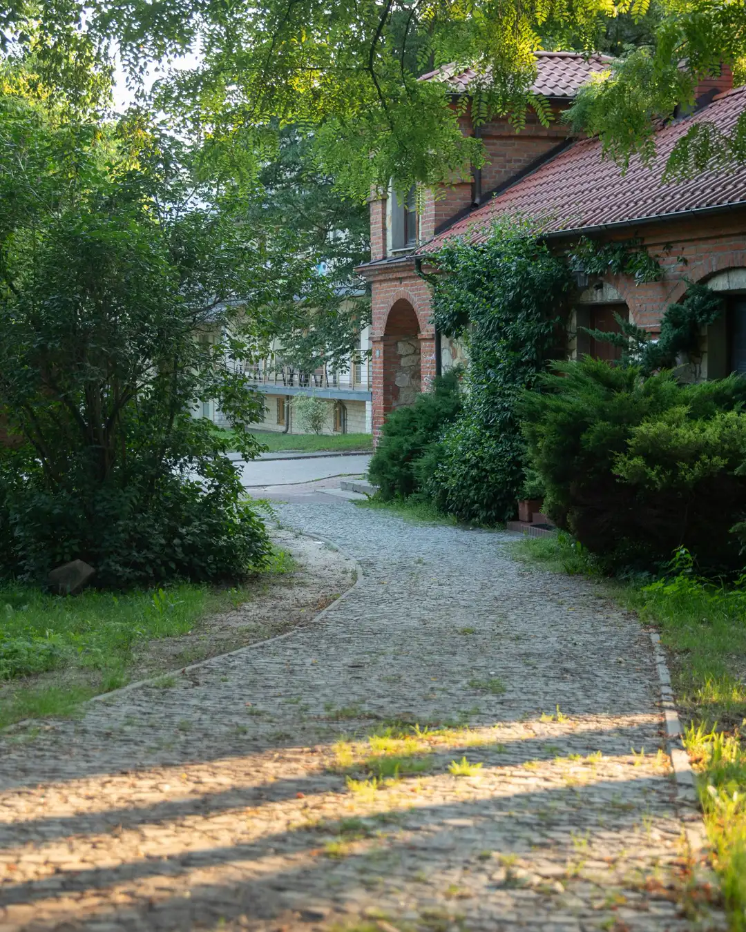 A paved walkway leading to the front door of a house through the lawn, sidewalk repair