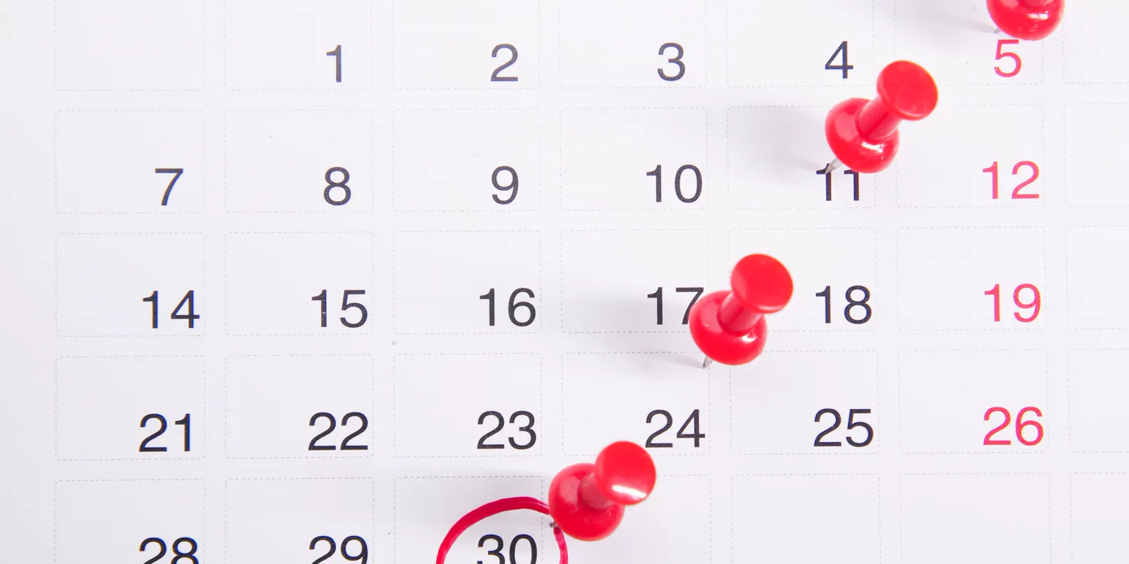 Close up of a wall calendar with red push pins marking the work days, whole home remodel